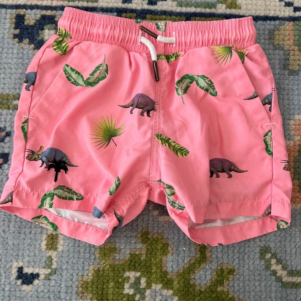 OAS Pink Dinosaur Print Kids Swim Trunks